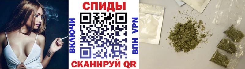 Бутират буратино  Вологда 