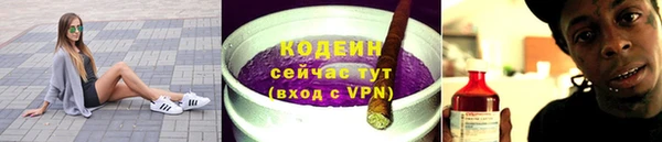 сатива Гусев