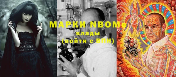 сатива Гусев
