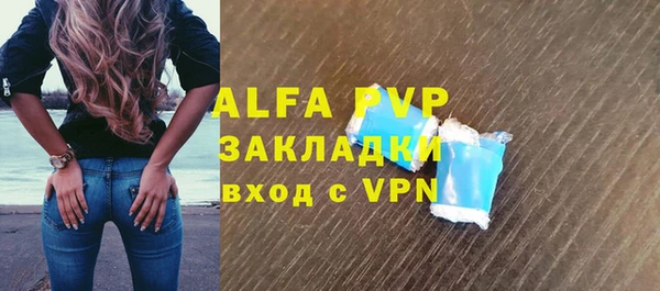 сатива Гусев
