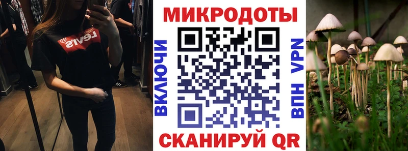 Галлюциногенные грибы GOLDEN TEACHER  Вологда 